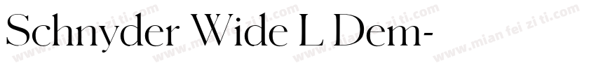 Schnyder Wide L Dem字体转换